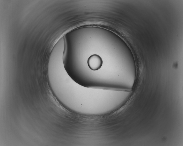 X0000116671369200912291649