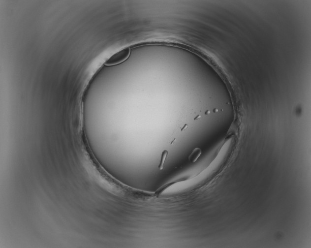 X0000116671371200912291649