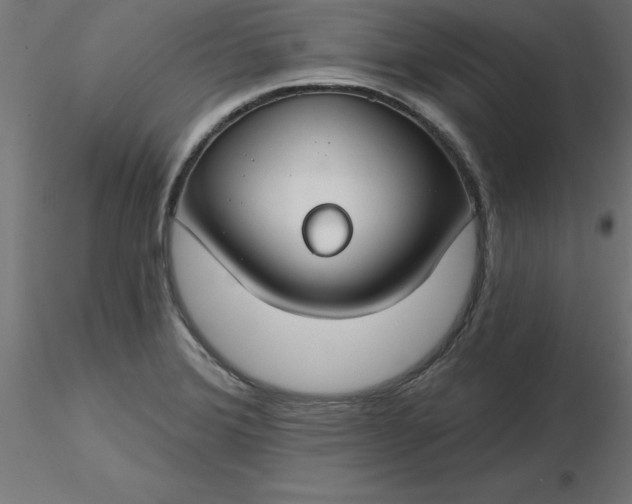 X0000116671372200912291649