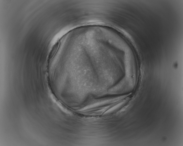 X0000116671373200912291649