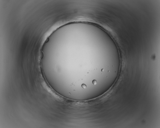 X0000116671374200912291649