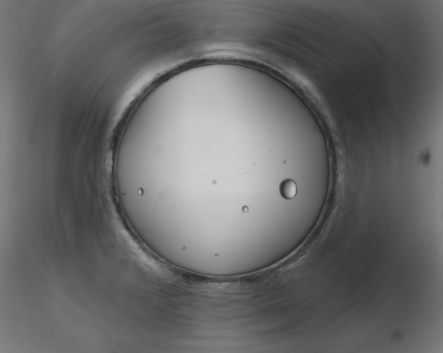 X0000116671376200912291649