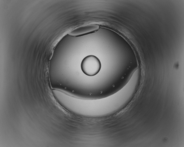 X0000116671377200912291649