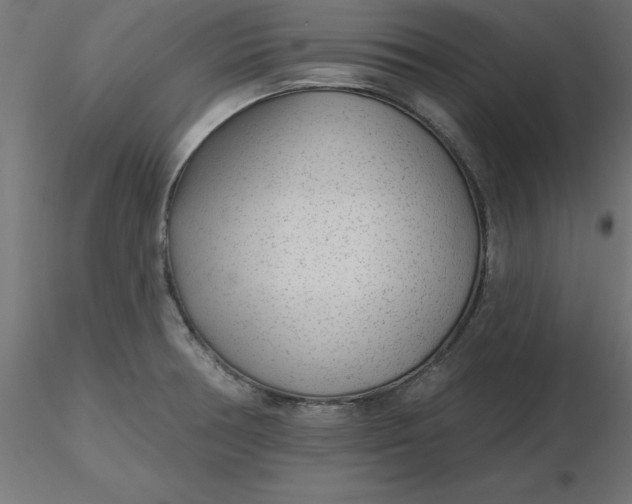 X0000116671378200912291649