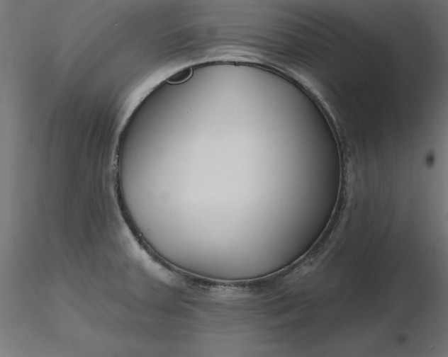 X0000116671379200912291649