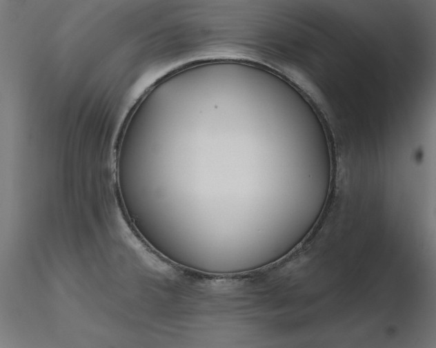 X0000116671380200912291649