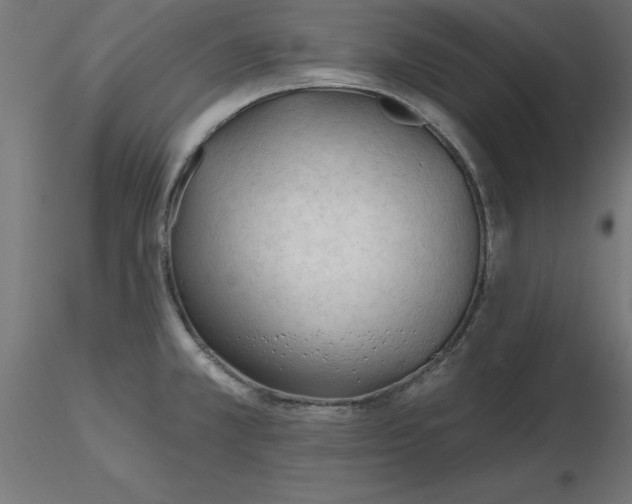 X0000116671381200912291649