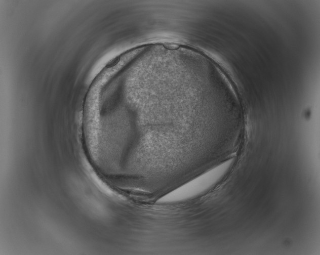 X0000116671383200912291649