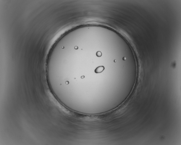 X0000116671384200912291649