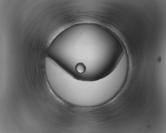 X0000116671385200912291649