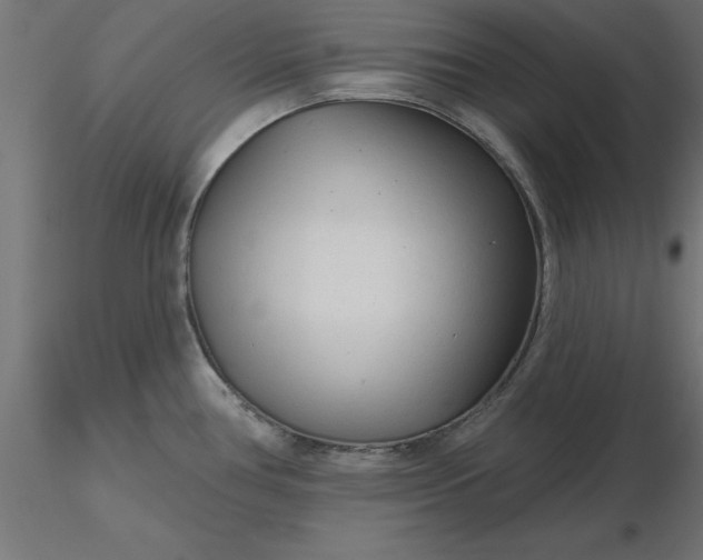 X0000116671386200912291649