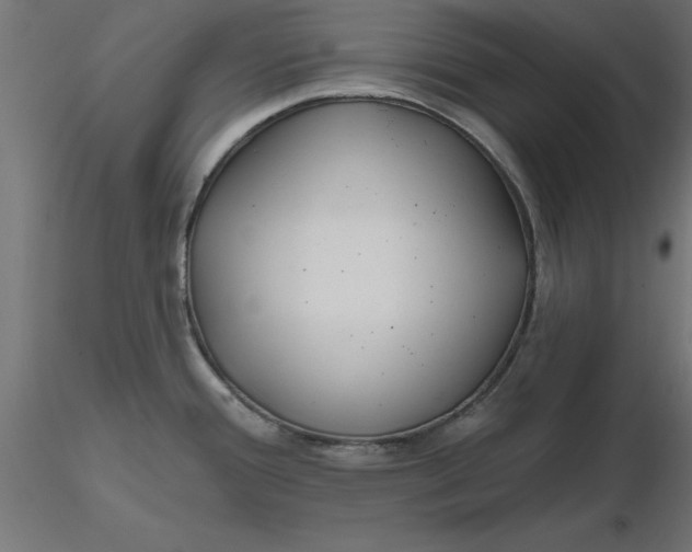 X0000116671388200912291649