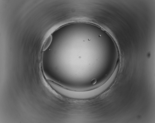 X0000116671389200912291649