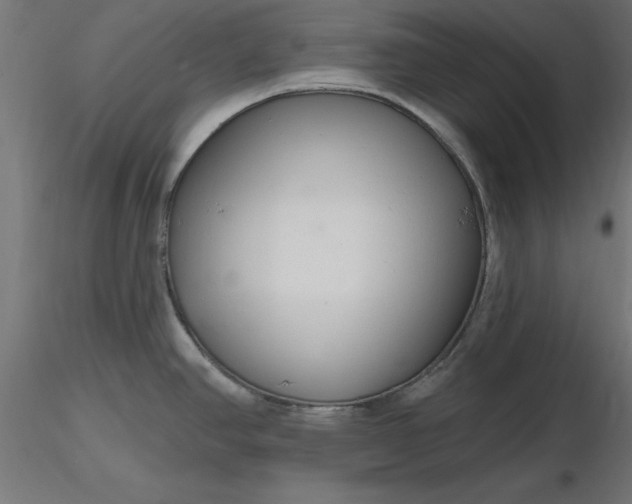 X0000116671390200912291649