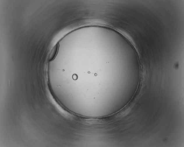 X0000116671391200912291649