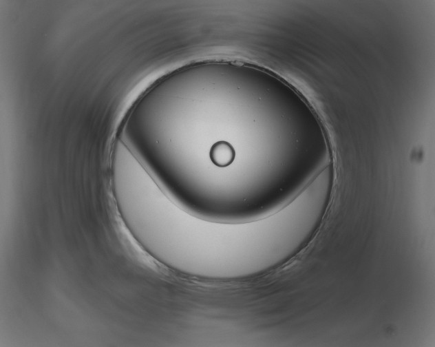 X0000116671392200912291649