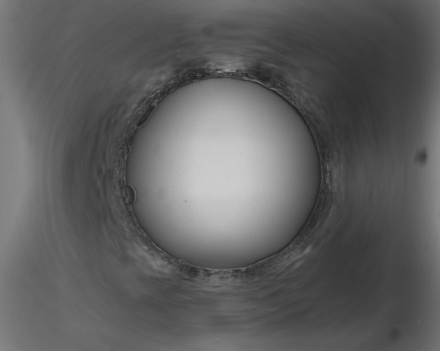 X0000116671393200912291648