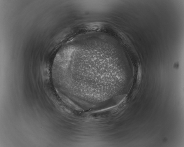 X0000116671394200912291648