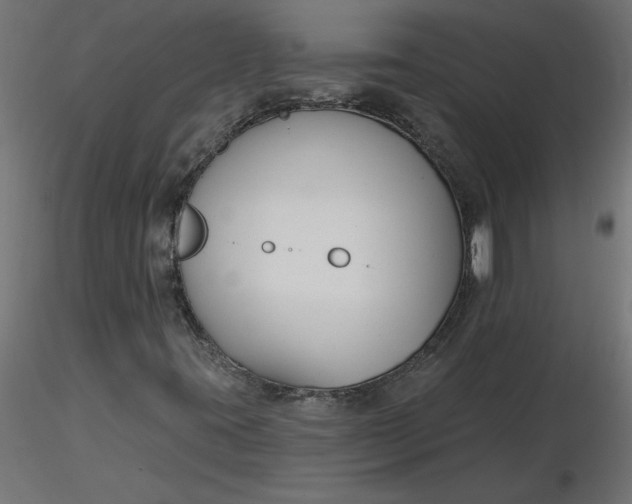 X0000116671395200912291648