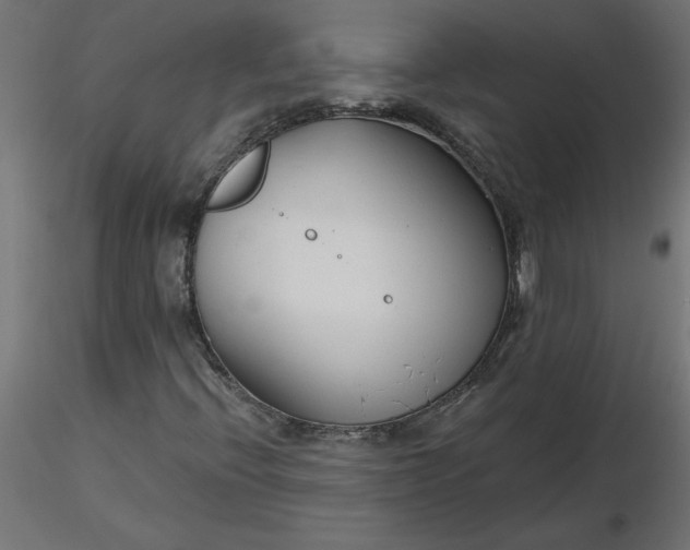 X0000116671396200912291648