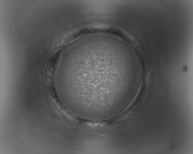 X0000116671397200912291648