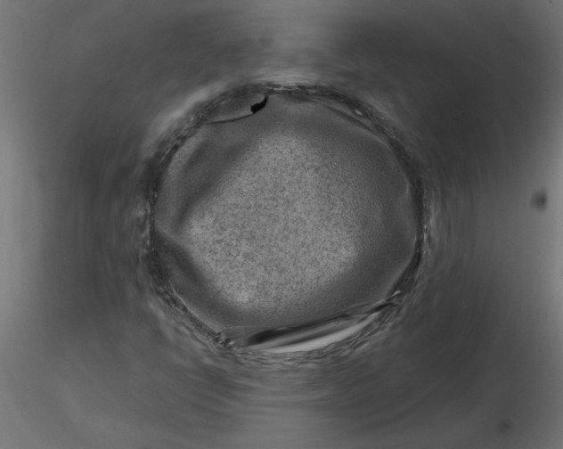 X0000116671398200912291648