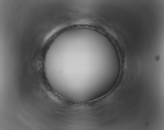 X0000116671400200912291648