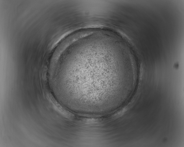 X0000116671401200912291648