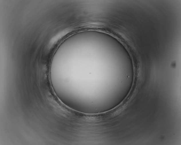 X0000116671402200912291648