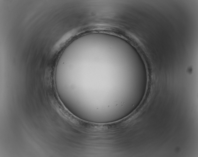 X0000116671403200912291648