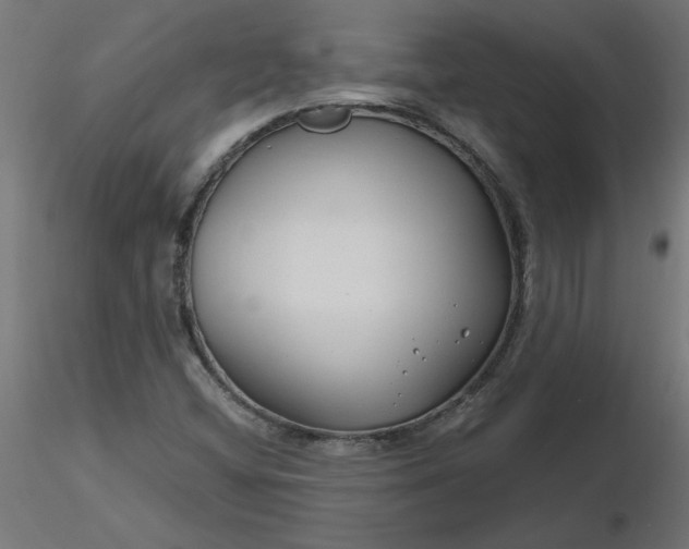 X0000116671404200912291648