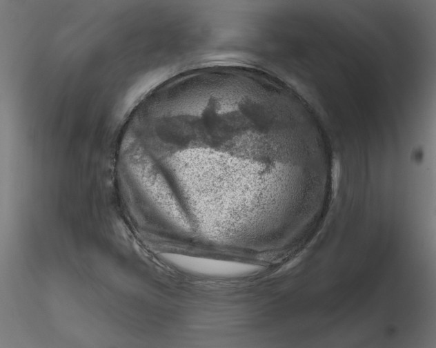 X0000116671405200912291648