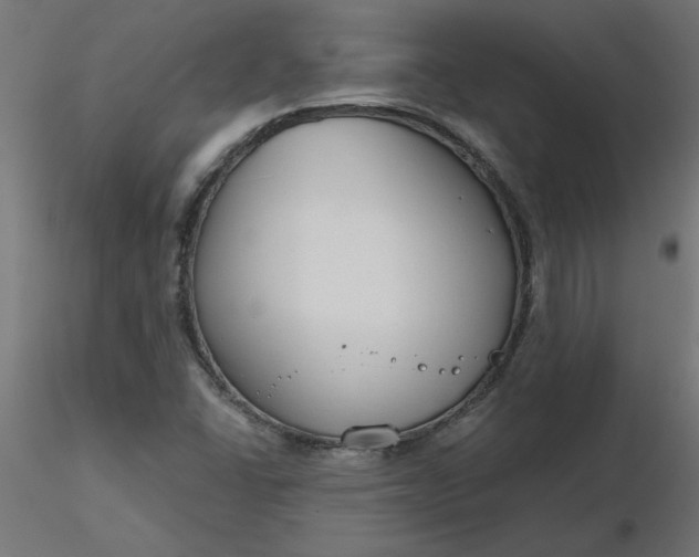 X0000116671406200912291649