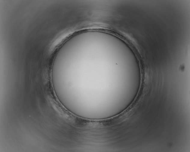 X0000116671407200912291649