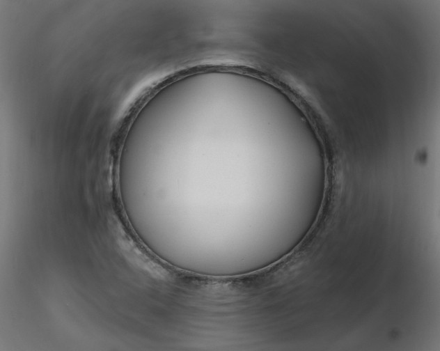 X0000116671408200912291649