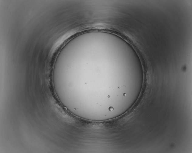 X0000116671410200912291649