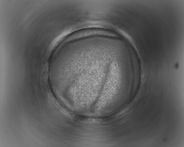 X0000116671411200912291649