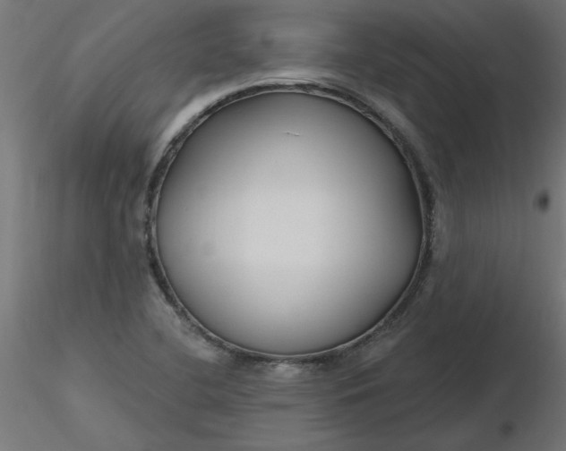 X0000116671412200912291649