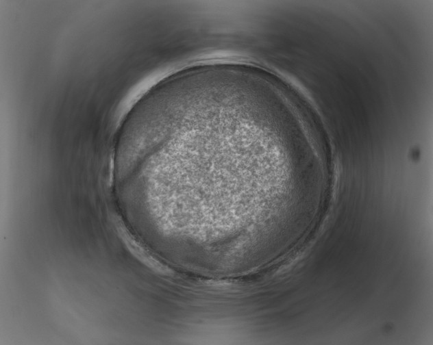 X0000116671413200912291649