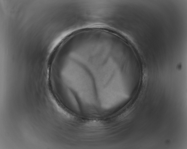 X0000116671414200912291649