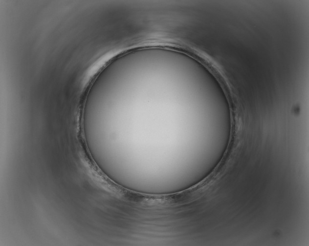 X0000116671415200912291649