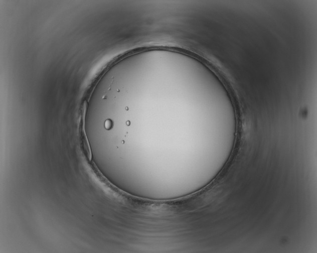 X0000116671416200912291649