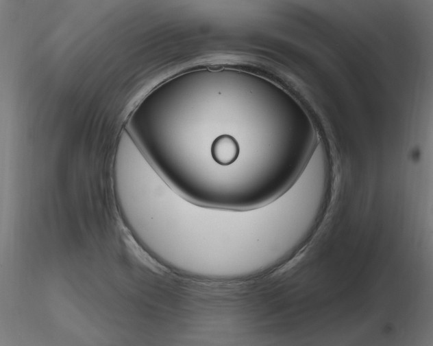 X0000116671417200912291649