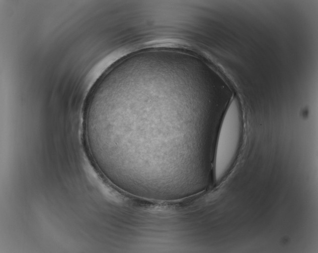 X0000116671418200912291649