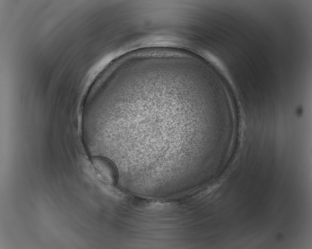 X0000116671419200912291649