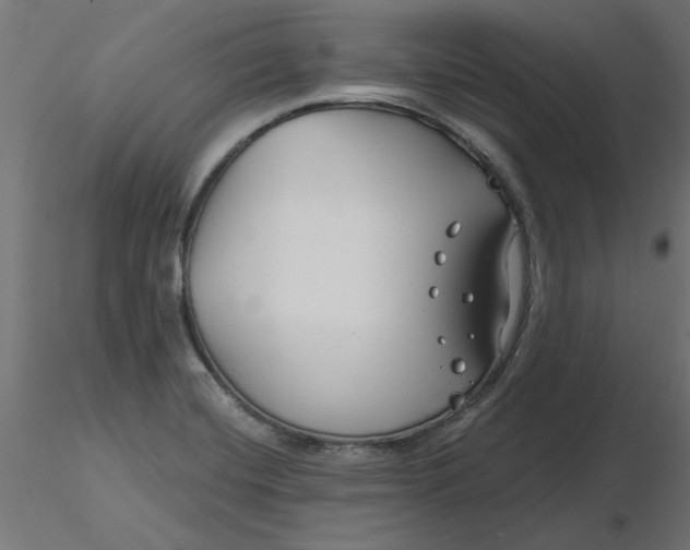 X0000116671420200912291649