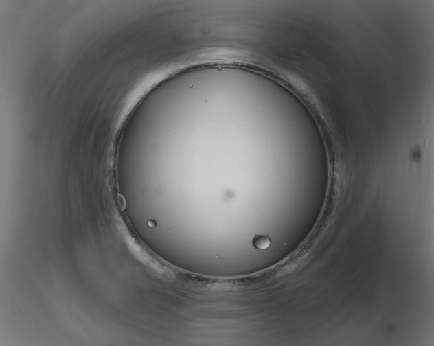 X0000116671421200912291649