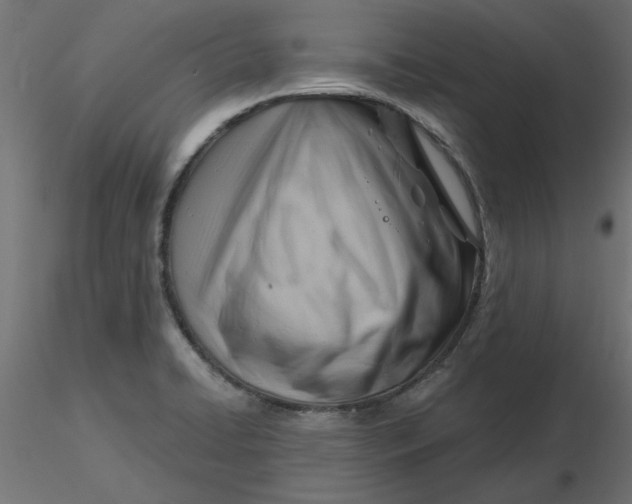 X0000116671422200912291649