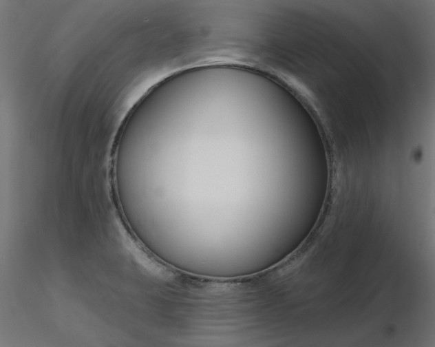 X0000116671423200912291649