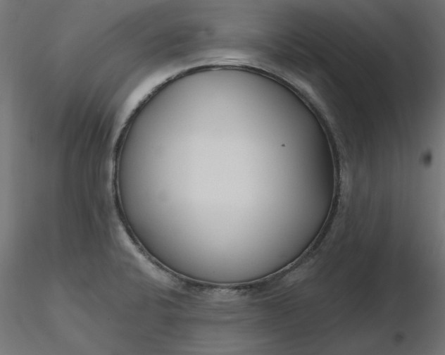 X0000116671424200912291649